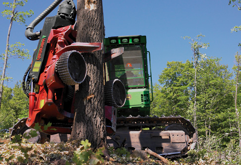 John Deere Tracked Forestry Harvester with Tree 