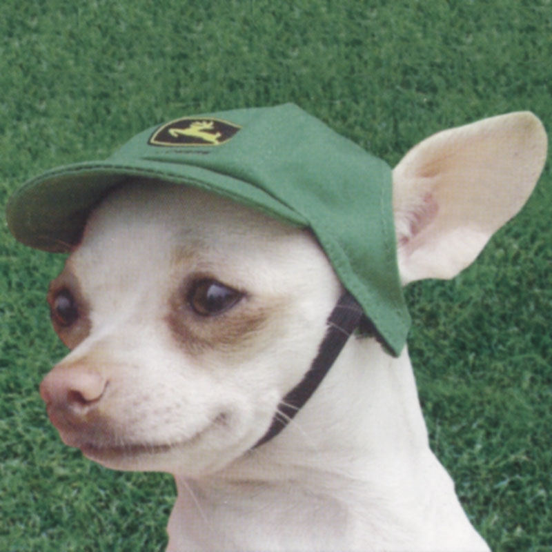 John Deere dog hat