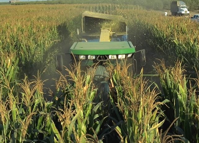 SPFH Corn Header 
