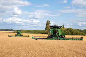 The report's authors determined that the use of extended rotations – specifically those that utilize small gains and forages – can have a positive agronomic and environmental impact. 