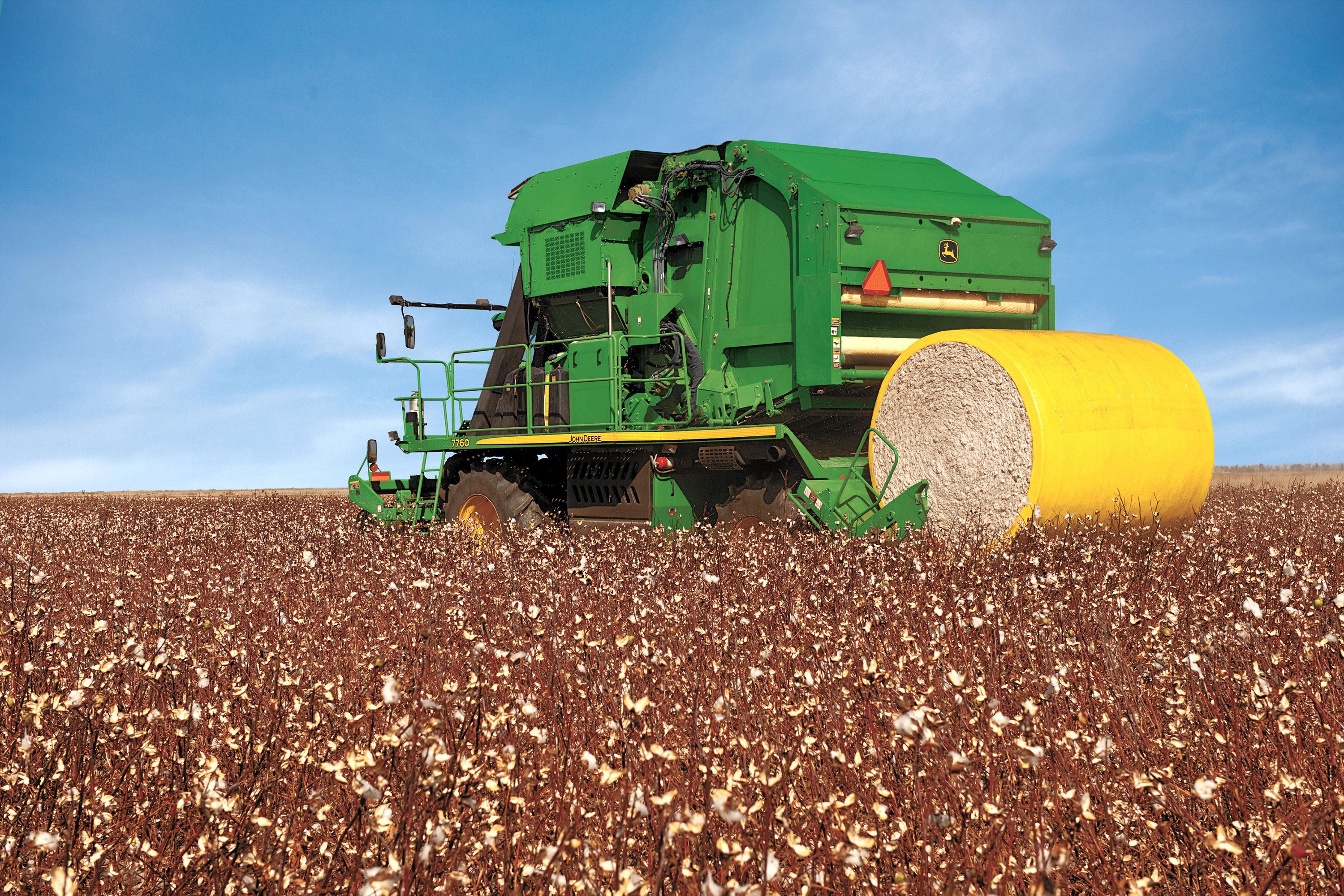Cotton Harvest Identification 