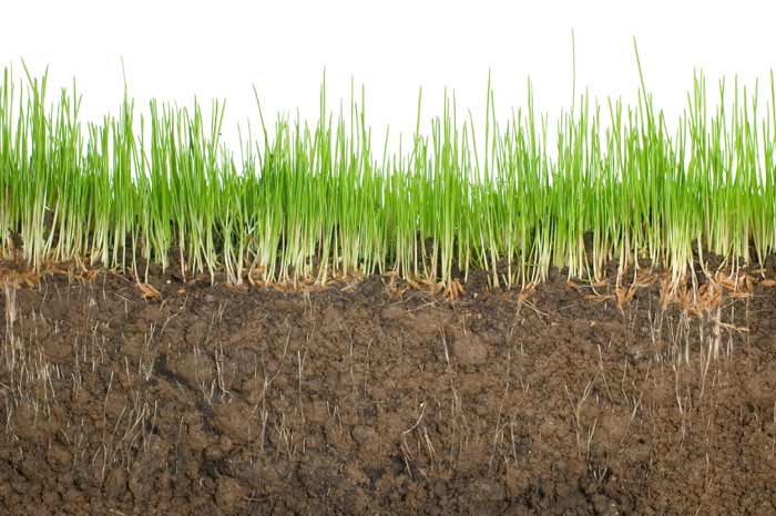 Soil measuring