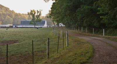 Farm
