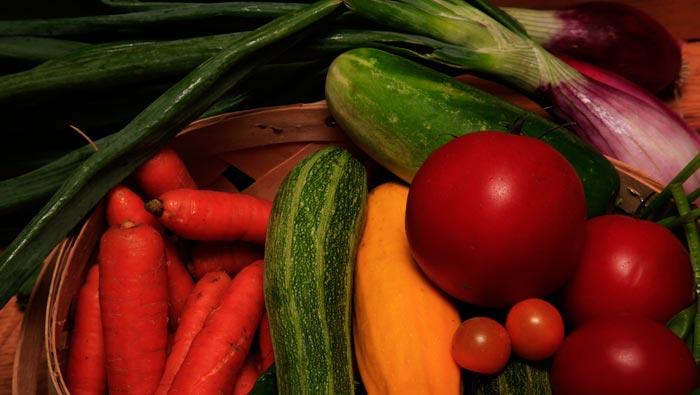growing vegetables based on seasonal changes